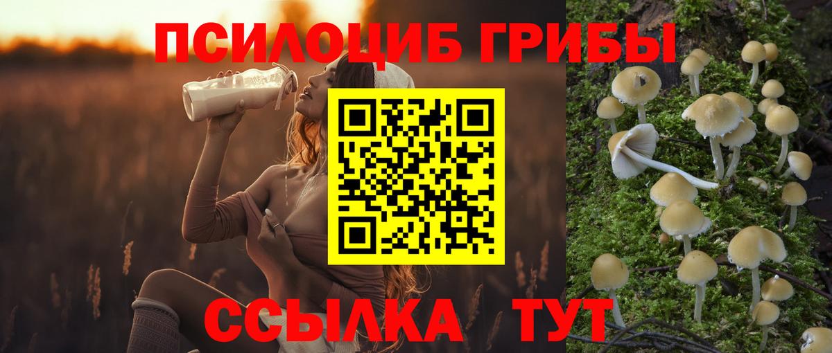 Галлюциногенные грибы GOLDEN TEACHER  Вход с VPN  Псилоцибиновые грибы мухоморы  Дюртюли 